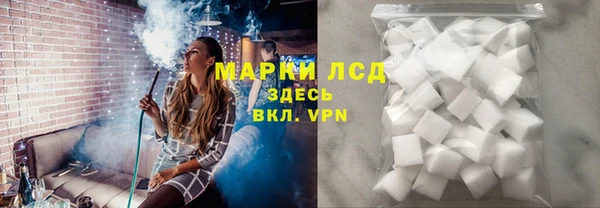 индика Абинск