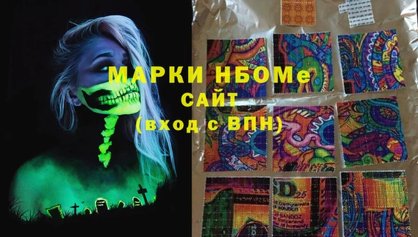 индика Абинск