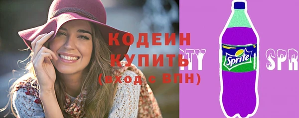 индика Абинск
