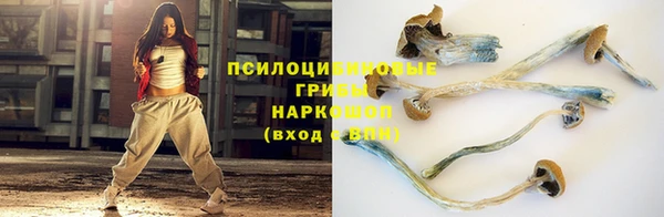 соль ск Абдулино