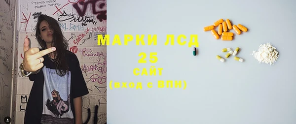 индика Абинск