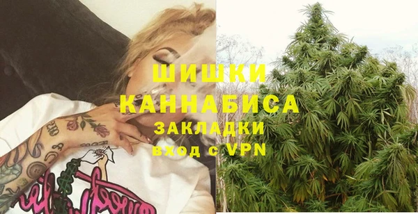 индика Абинск