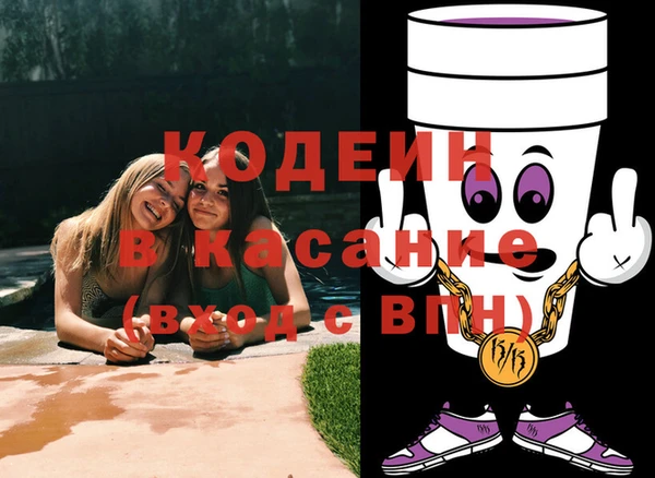 индика Абинск