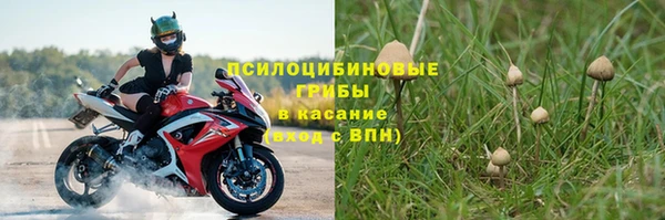 соль ск Абдулино