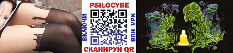 где найти наркотики  Темников  Галлюциногенные грибы Cubensis 